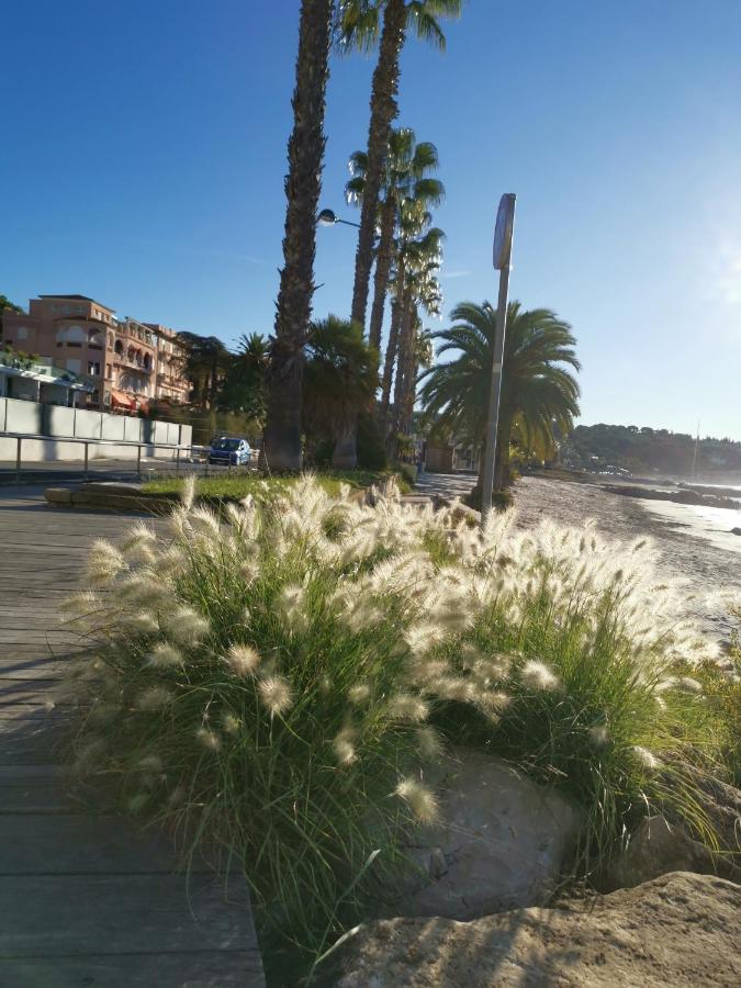 Апартаменты Ofdl B T1 Bandol - Briotine Foyalais Экстерьер фото